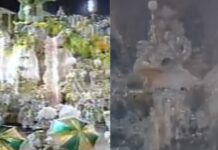 Nos 30 anos do ‘Jegue’ e ‘Gosto que me enrosco’, integrantes de Portela e Imperatriz relembram o desfile de 1995