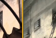 Liga RJ convoca reunião de emergência após incêndio afetar fantasias das escolas da Série Ouro