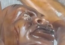 Série Barracões SP: Independente Tricolor busca retorno ao Grupo Especial com enredo crítico sobre a Independência