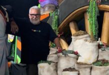 Série Barracões: Porto da Pedra aposta na grandiosidade para vencer a Série Ouro do Carnaval 2025