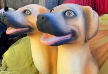 Série Barracões: Emoção na Avenida! São Clemente contempla o amor aos animais no Carnaval 2025