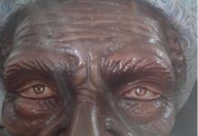 Série Barracões SP: Unidos de São Lucas mira Grupo Especial após ascensão meteórica