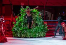 UPM impressiona em teste de luz e som com a potência de quesitos e da comunidade