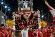 ‘Ver a realização da comunidade, sem dúvida, não tem preço’, diz Lara Mara, diretora de carnaval da UPM