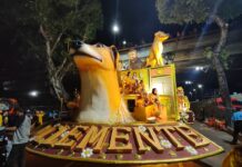 Amor e respeito aos animais: a São Clemente traz uma mensagem de conscientização para a Marquês de Sapucaí