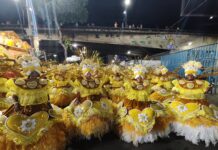 Ala das Baianas da São Clemente homenageia cachorros caramelos