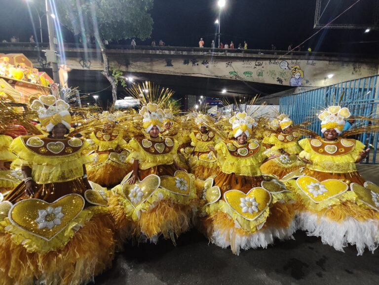 Ala das Baianas da São Clemente homenageia cachorros caramelos