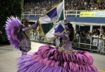 Elenco da Unidos de Vila Maria celebra desfile grandioso