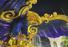 A águia da Portela: símbolo de fé, paixão e identidade no Carnaval Carioca