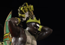 X-9 Paulistana comemora seus 50 anos em desfile no sambódromo do Anhembi