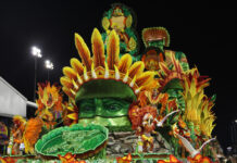 X-9 Paulistana 2025: galeria de fotos do desfile