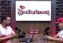 Resenha sobre os desfiles do Grupo Especial do Rio no Carnaval 2025