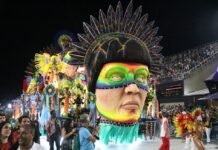 Segundo carro da Estácio explora, de forma pouco óbvia, a força de ativistas ambientais como Chico Mendes e Dom Philips