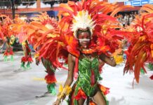 Vídeo: análise dos desfiles do Grupo Especial na terça-feira