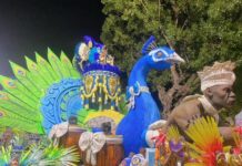 Entre o Borel e a Avenida: Logun-Edé na Alma Tijucana