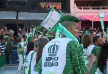 Império Serrano Carnaval 2025: galeria de fotos do desfile