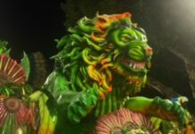 O Leão Guarani da Estácio: Força, Cores e Resistência na Avenida