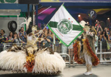 Mancha Verde 2025: galeria de fotos do desfile