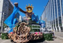 Galeria de fotos: alegorias da Mangueira na área de concentração para o Carnaval 2025