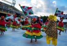 Presidente da Associação das Escolas Mirins destaca apoio da Liesa para a realização dos desfiles das crianças: ‘Fundamental’