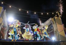 Niterói Carnaval 2025: galeria de fotos do desfile