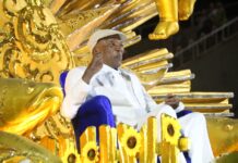 Portela Carnaval 2025: galeria de fotos do desfile