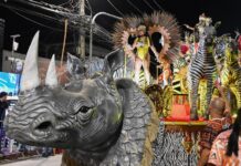 Renascer de Jacarepaguá com samba sobre a resistência preta encanta na Intendente