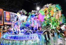 Tubarão de Mesquita leva para a avenida um dos melhores desfiles da Série Prata com enredo que ressalta a importância do desenvolvimento sustentável