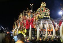 ‘Não teve correria’, afirma diretor de carnaval do Tuiuti