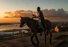 Governo do Rio Grande do Sul garante apoio para Portela no Carnaval 2026