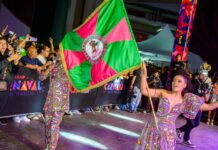 Ouça o samba-enredo da Barroca Zona Sul para o Carnaval 2026