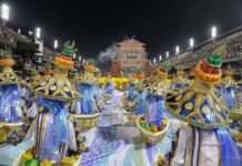 Comissão de Educação e Cultura reconhece carnaval do Rio de Janeiro como manifestação da cultura nacional