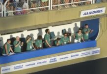 Carnaval 2026: Nota 10 terá que ser justificada pelos julgadores do Grupo Especial do Rio