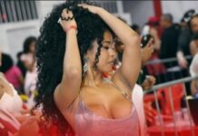 Lorena Maria brilha em sua estreia como musa da Unidos de Padre Miguel