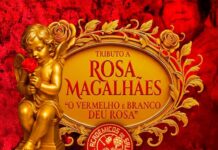 Sambistas com carteirinha das escolas têm entrada gratuita em tributo que marca um ano sem Rosa Magalhães