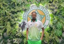 Ala de passistas da Mocidade tem seletiva potente e pode ser a maior do carnaval em 2026, diz diretor