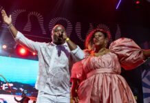 Orgulho para Academia! Salgueiro relembra trajetória de Rosa Magalhães com criatividade na Noite dos Enredos