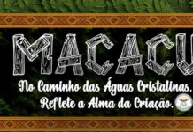 Confira a sinopse do enredo 2026 da Lins Imperial