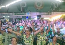 Em 2026, Mancha Verde reedita histórico desfile de 2012