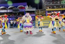‘Peso do pavilhão’ e estigma de vir do Acesso são alertas dos sambistas para estreia da Niterói no Grupo Especial no Carnaval 2026