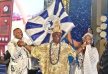 Leitores do CARNAVALESCO apontam enredo da Beija-Flor como o melhor de 2026 e elogiam safra de temas das escolas