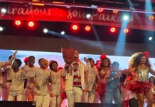 Enredo para a história! João Gustavo Melo detalha criação da homenagem da Viradouro para Ciça