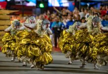 É Lei! Carnaval se torna patrimônio cultural e artístico da cidade do Rio