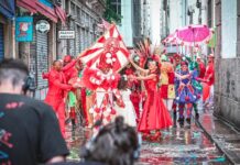 Veja o clipe do samba do Salgueiro para o Carnaval 2026
