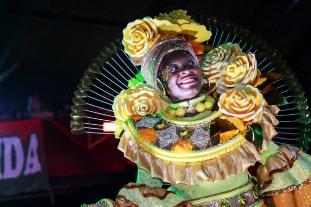 Mocidade Alegre mescla estilos, cores e materiais em fantasias para homenagear Léa Garcia 14 fantasias mocidadealegre26 15