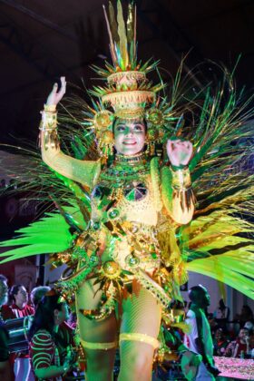 Mocidade Alegre mescla estilos, cores e materiais em fantasias para homenagear Léa Garcia 26 fantasias mocidadealegre26 27
