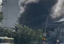 Incêndio atinge barracões das escolas da Série Ouro na Zona Portuária do Rio