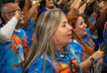 Com vagas encerradas, Niterói terá desfile com 100% das alas da comunidade no Carnaval 2026