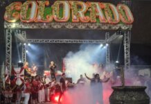 Carnavalesco e diretor de Carnaval da Colorado do Brás celebram enredo: ‘Boas vibrações para a escola’