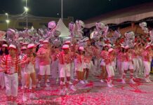 Liesa divulga julgadores do quesito Samba-Enredo e inclui ‘Funcionalidade’ no formato da avaliação